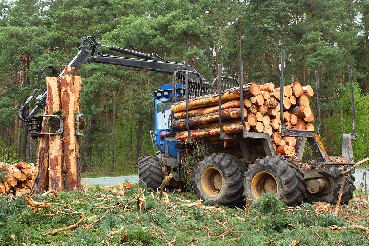 Fahrzeug für Waldarbeiten - Brennholz Jetzinger